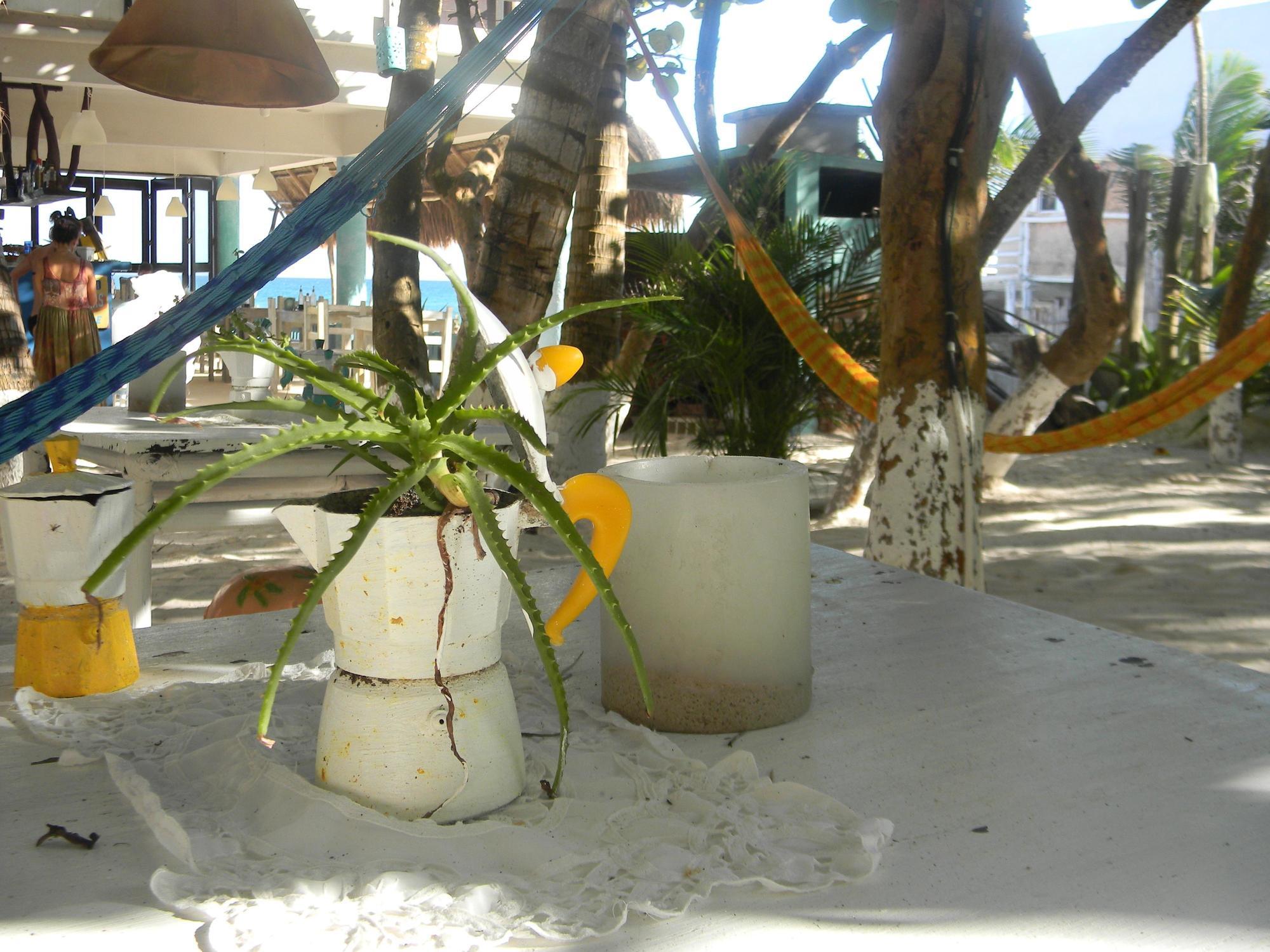 Playa Kin Ha Hotel Tulum Exterior photo
